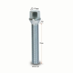Болт M14X1,25X75 Цинк Конус с выступом ключ 17 мм C17F75 Z