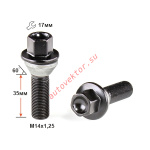 Болт M14X1,25X35 Черный Цинк вращ.Конус с выступом ключ 17 C17F35 BA