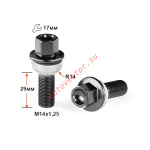Болт M14X1,25X29 Черный Цинк вращ.Сфера с выступом ключ 17 S17F29 BA