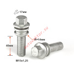 Болт S17M40 D M15X1,25X40 Дакромет Вращ.Сфера с выступом, ключ 17